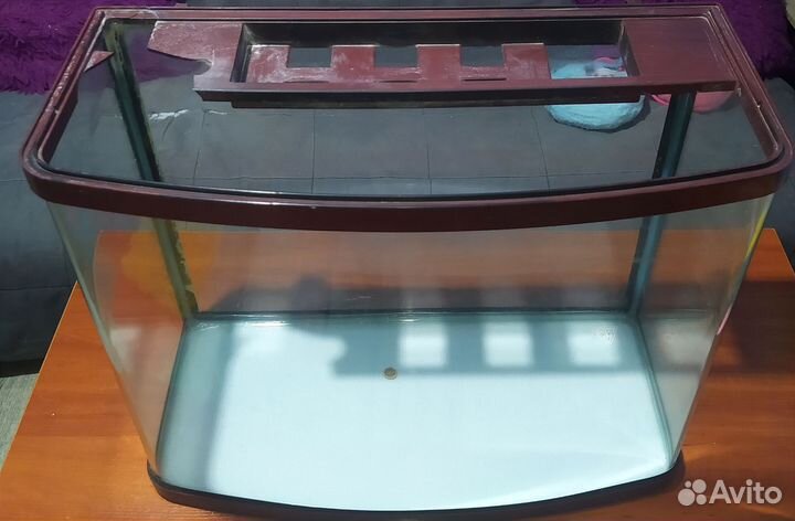 Аквариум панорамный