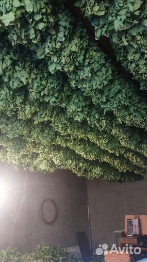 Опт розница