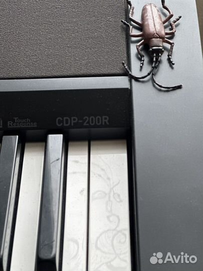 Цифровое пианино casio cdp 200R