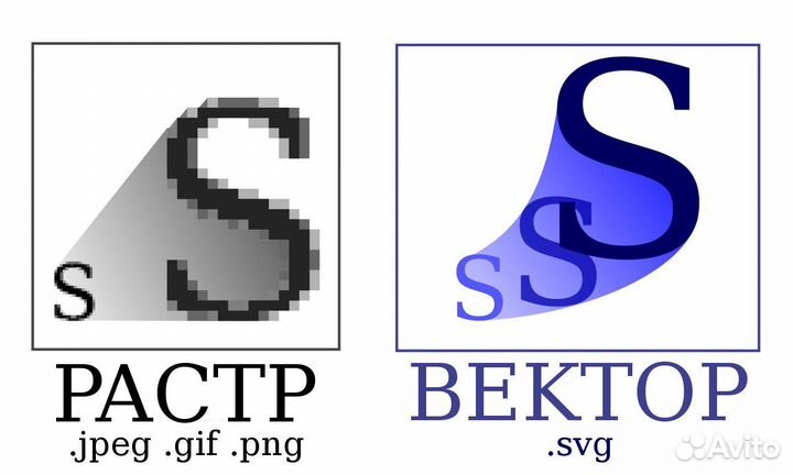 Векторный логотип из jpg изображения