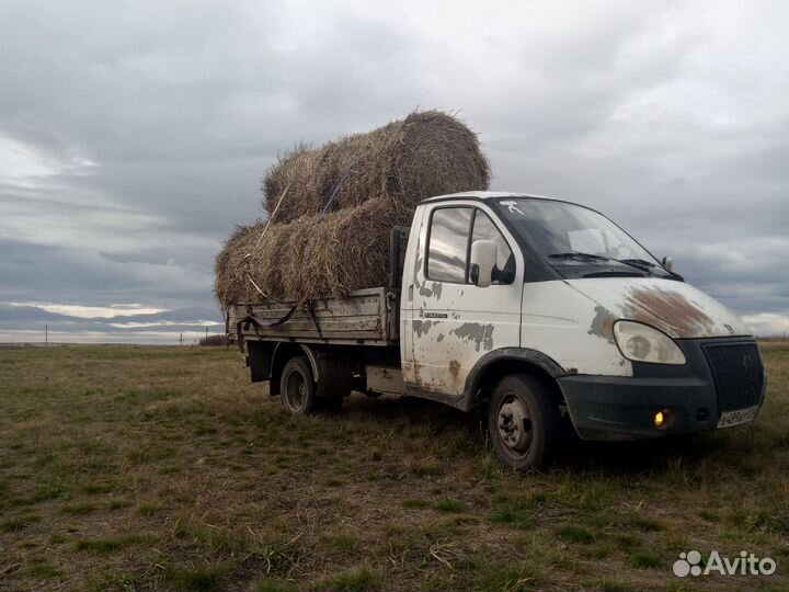 Сено в рулонах с доставкой