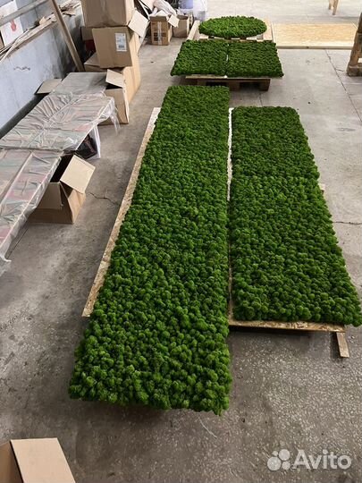 Полоса из стабилизированного мха