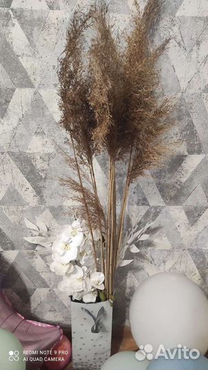 Камыш, трава