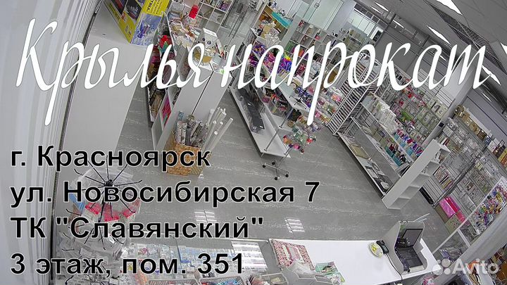 Сборная модель самолета конструкции Туполева тип 2