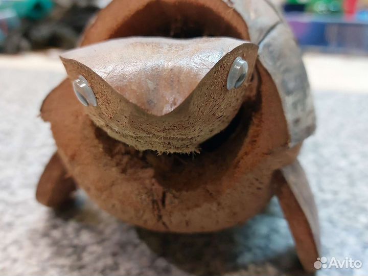 Черепаха декоративная