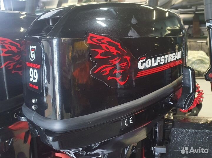 Лодочный мотор Golfstream (Гольфстрим) Т 9.9 вмs E