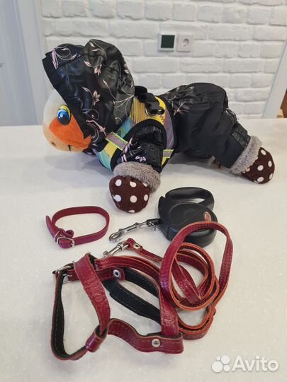 Комбинезон для маленькой собаки