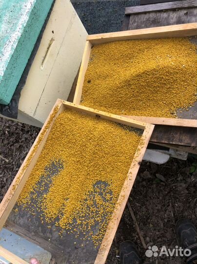 Эксклюзивная баночка