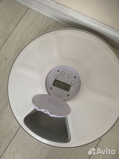 Автокормушка для кошки всего за 1000