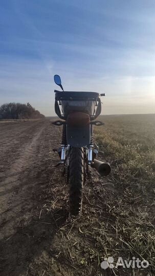 Продам Alpha Gs