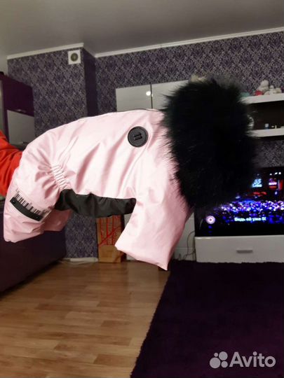 Одежда для собак