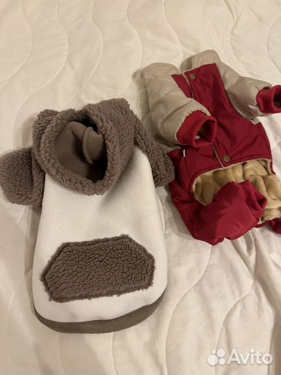 Одежда для мелких пород собак М