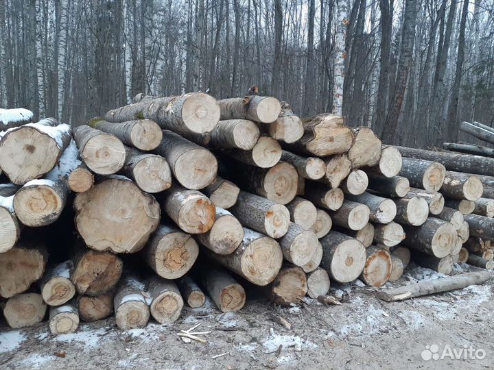 Имеется в продаже Осина,Липа,Береза и Хвоя