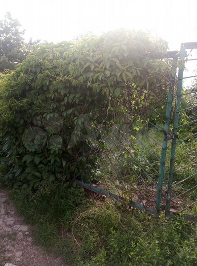 Дача 21 м² на участке 4 сот.