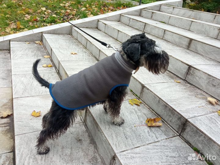 Кофта для собаки из флиса