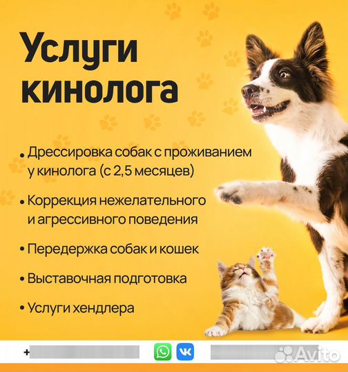 Услуги дизайнера, web-дизайнера, дизайн