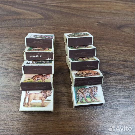 Спички Кошки Коллекционные Цена За Все СССР Ретро