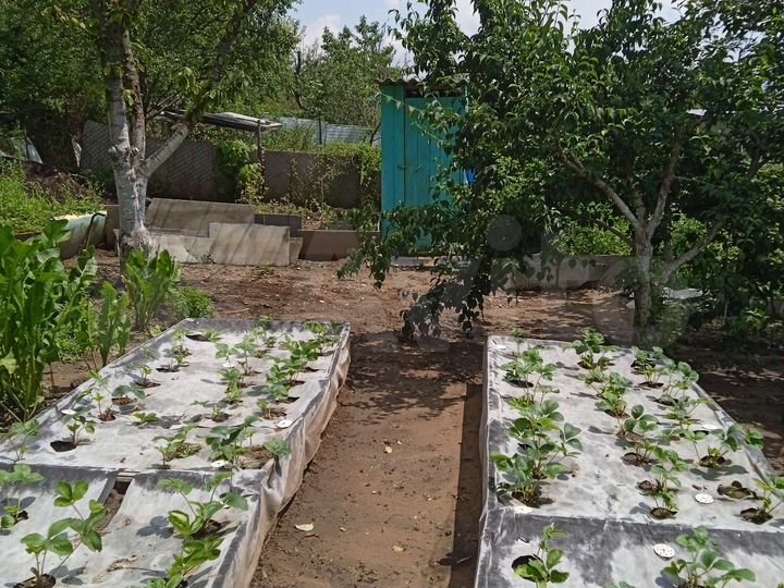 Дача 61,3 м² на участке 15 сот.