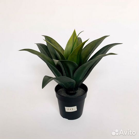 Фейка искусственное растение