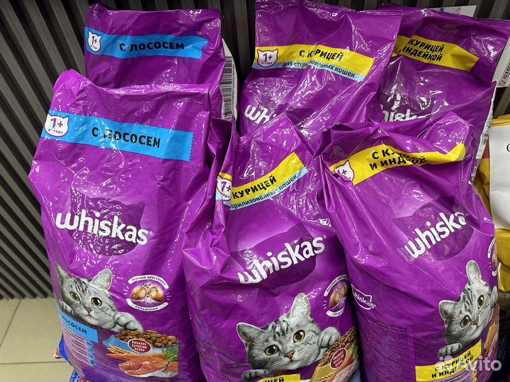 Сухой корм whiskas вискас 5 кг