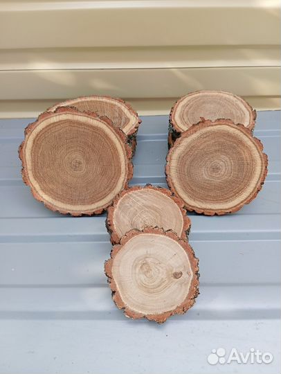 Спилы из дерева