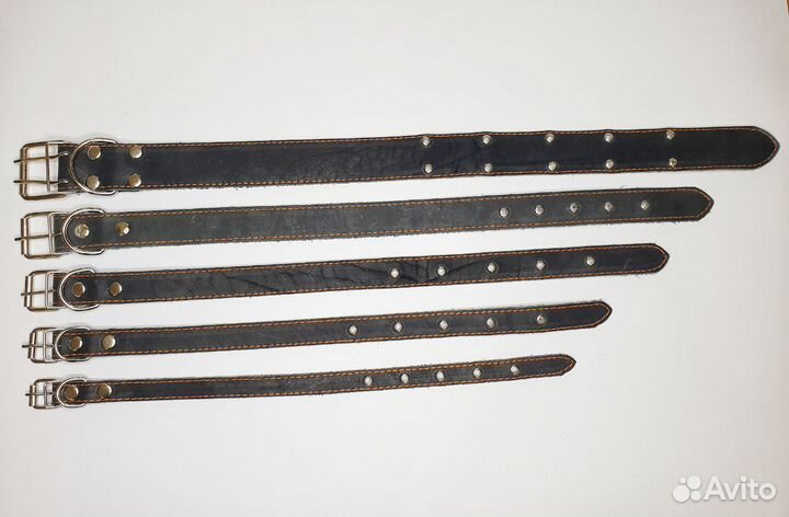 Ошейник для собак