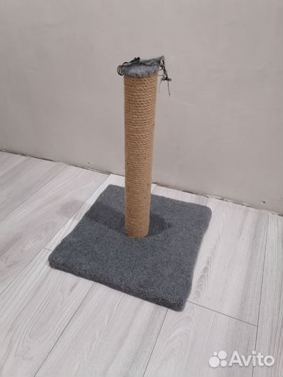 Когтеточка