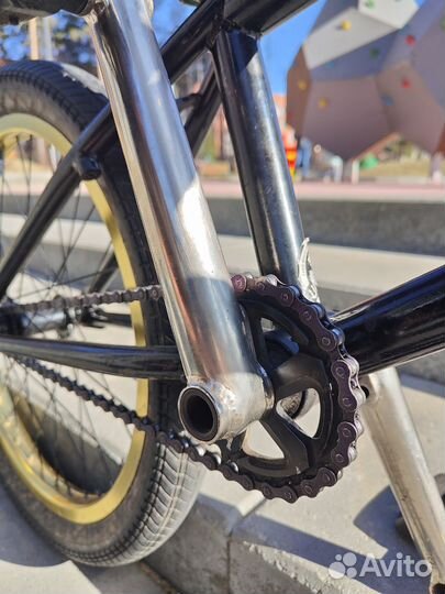 Wethepeople Trust bmx custom