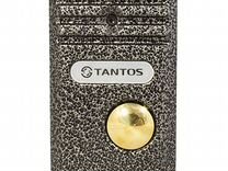 Вызывная панель видеодомофона Tantos walle (серебр