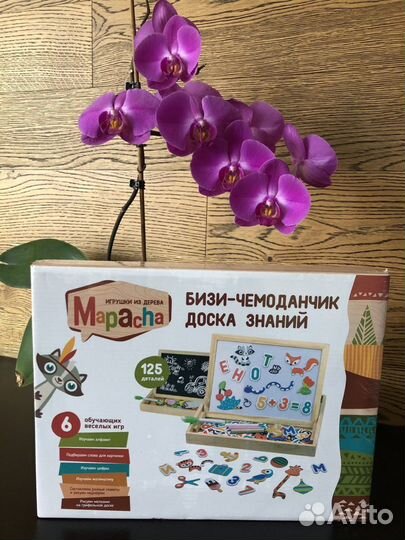 Бизи чемоданчик «доска знаний»