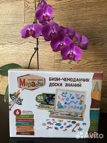 Бизи чемоданчик «доска знаний»