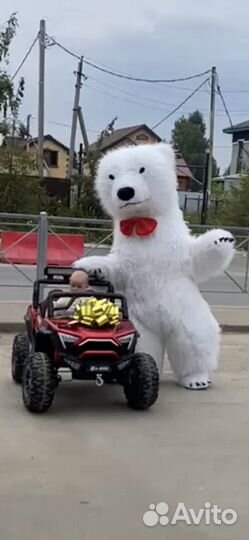 Белый мишка поздравление