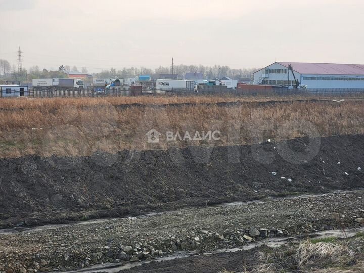 Участок 10 га (личное подсобное хозяйство (лпх))