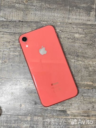 iPhone XR