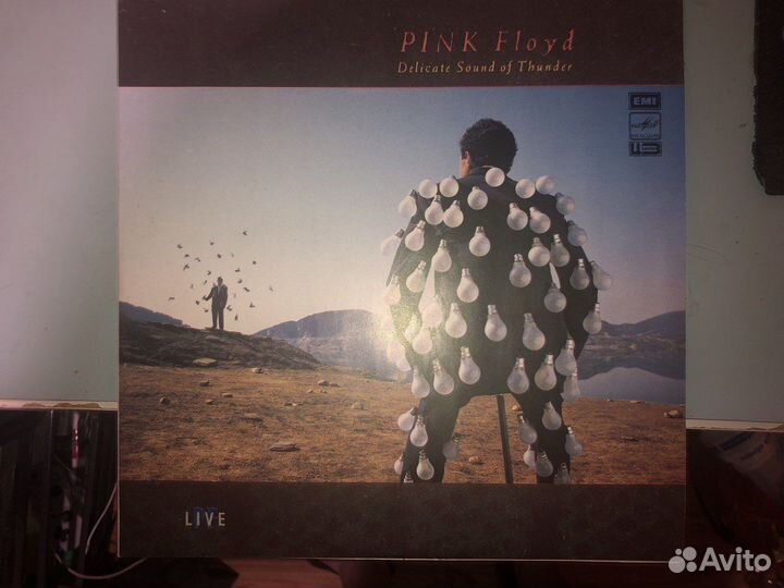 Виниловые пластинки Pink Floyd