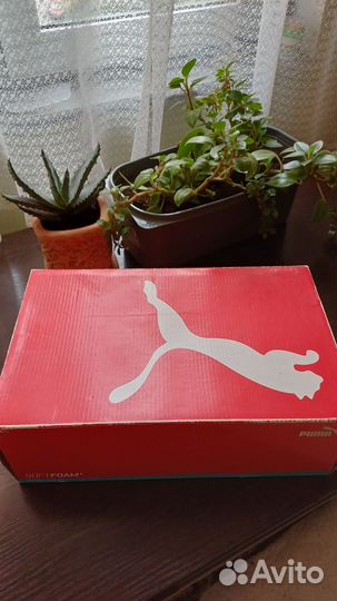 Мокасины женские 40 размер