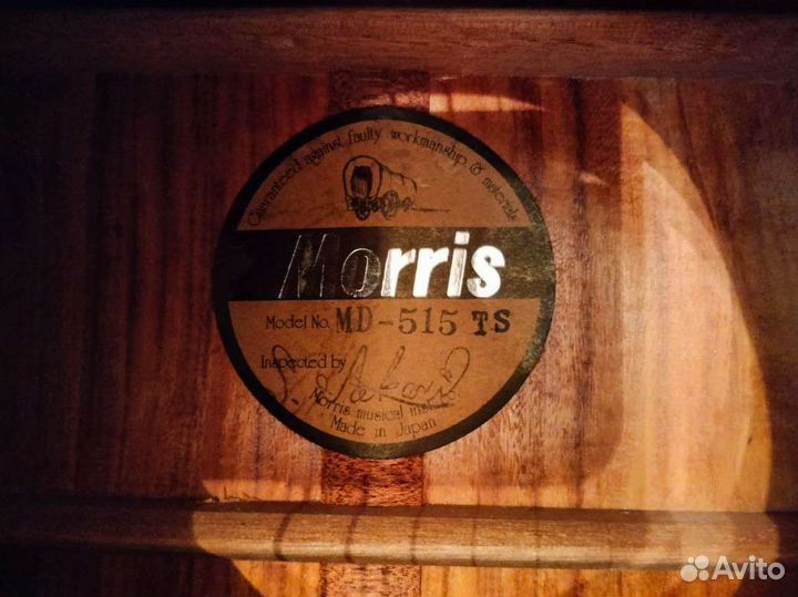 Акустическая гитара Morris md 515
