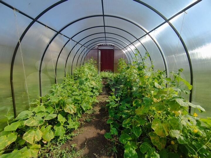 Участок 16 сот. (СНТ, ДНП)