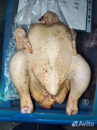 Мясо домашнего бройлера