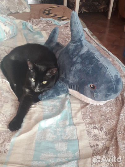 Игрушка плюшевая акула