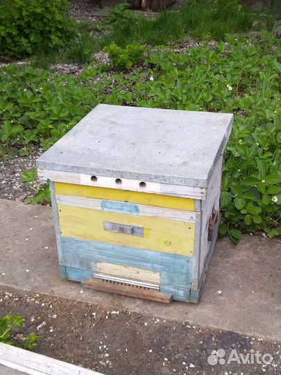 Ульи для пчел бу