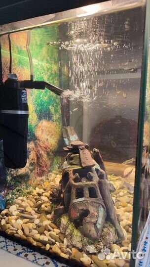 Аквариум 40л