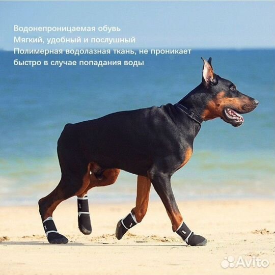 Обувь для собак