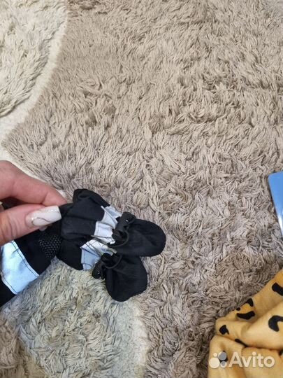 Когтерезка