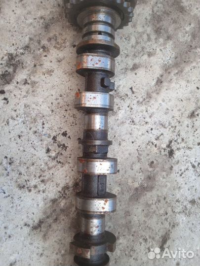 Распредвал Toyota Crown