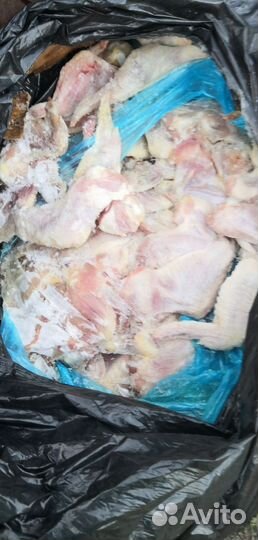 Корм для животных