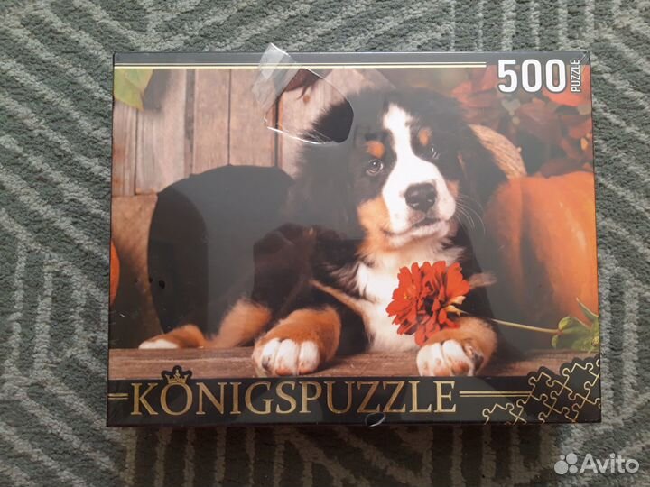 Пазл 500 Konigspuzzle Щенок бернского зенненхунда
