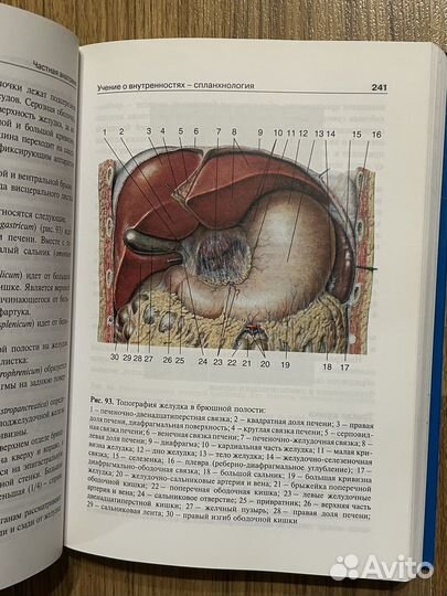 Анатомия человека Колесников Михайлов Чукбар