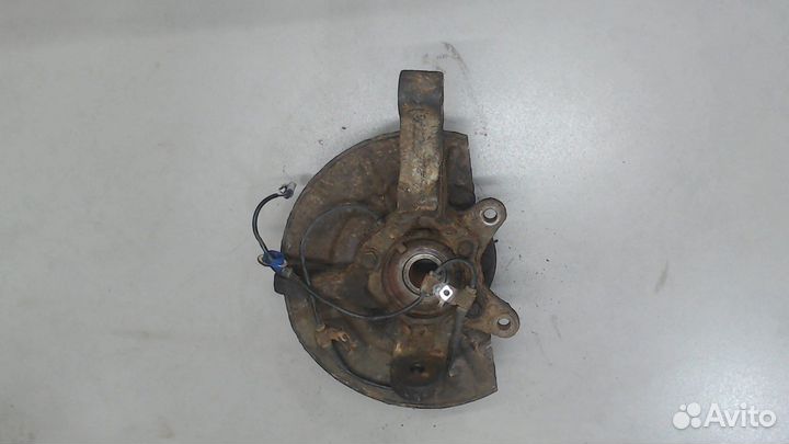 Ступица (кулак, цапфа) Suzuki Grand Vitara, 2005