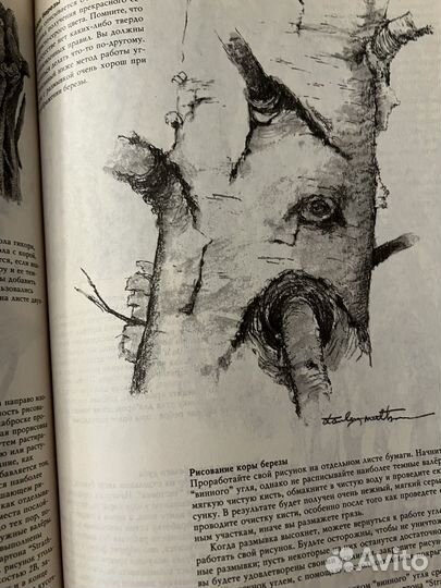Книга по рисунку